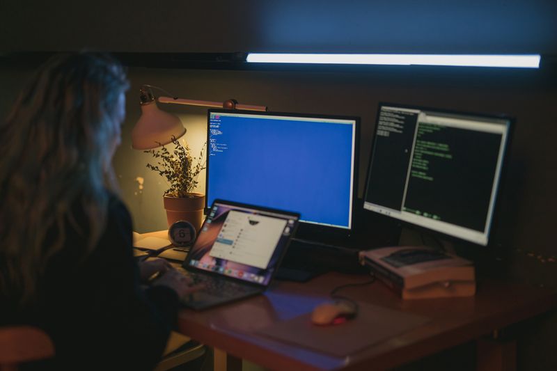 Secure software development environment with encrypted systems